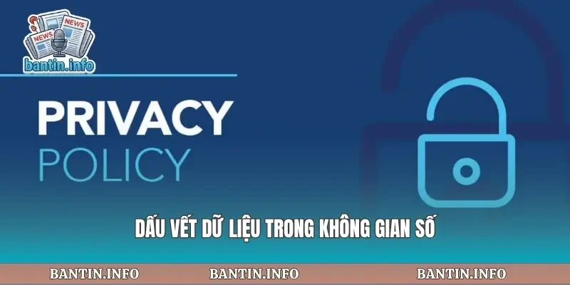 Dấu vết dữ liệu trong không gian số