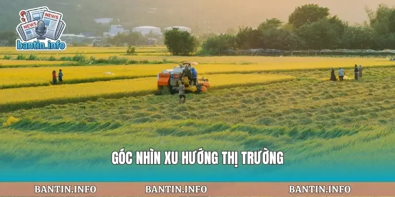 Góc nhìn xu hướng thị trường