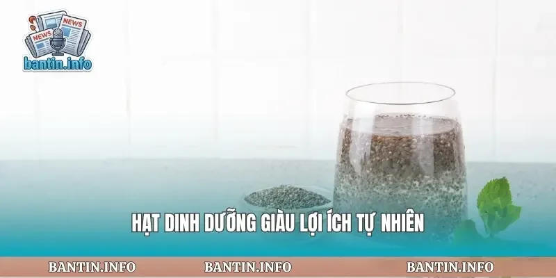 Hạt dinh dưỡng giàu lợi ích tự nhiên