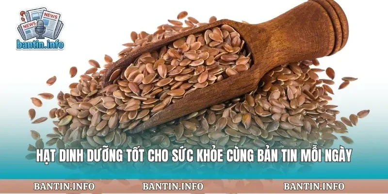 Hạt Dinh Dưỡng Tốt Cho Sức Khỏe