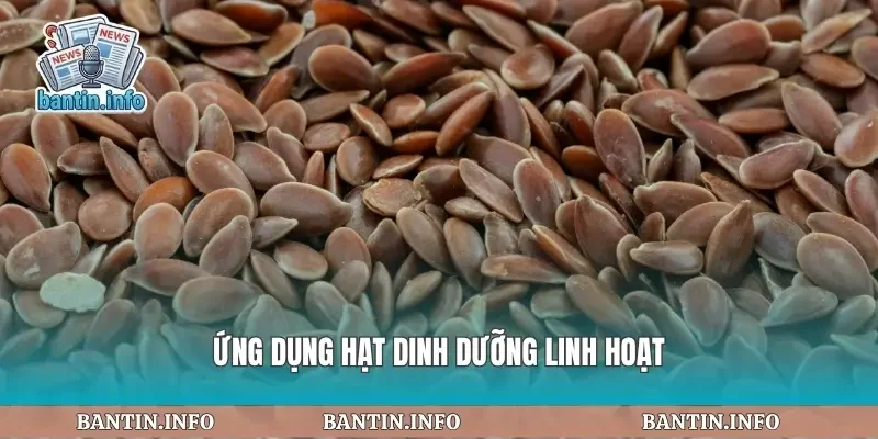 Ứng dụng hạt dinh dưỡng linh hoạt